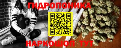 шишки Нарткала